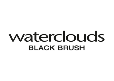 BLACK BRUSH